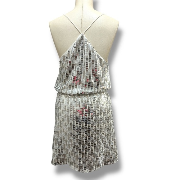 196 ZARA | NWOT Silver Sequin Mini Dress (Size S) - Picture 5 of 16
